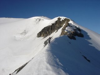 Mont6